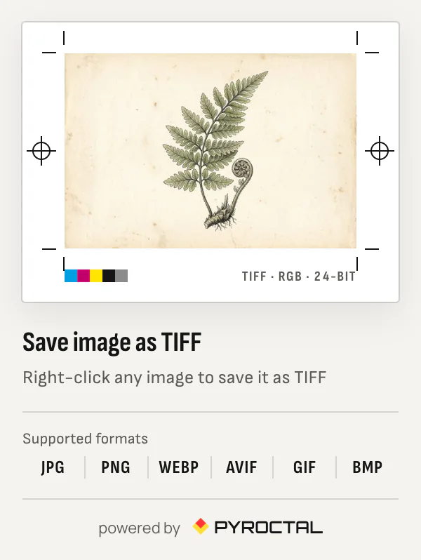 The Save image as TIFF popup: a botanical plate on a print proof with crop marks, registration marks and a colour bar, and the supported formats